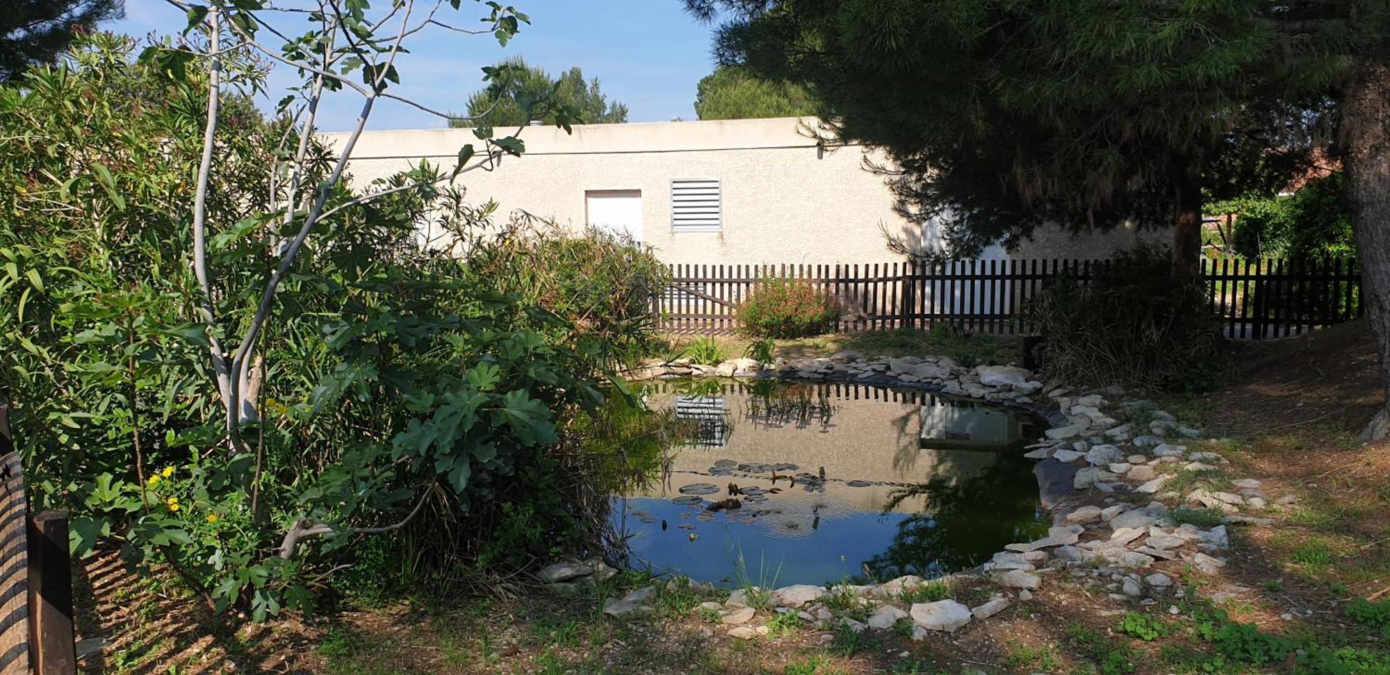 Maison"La Cigale Du Sud" Calvisson Kültér fotó